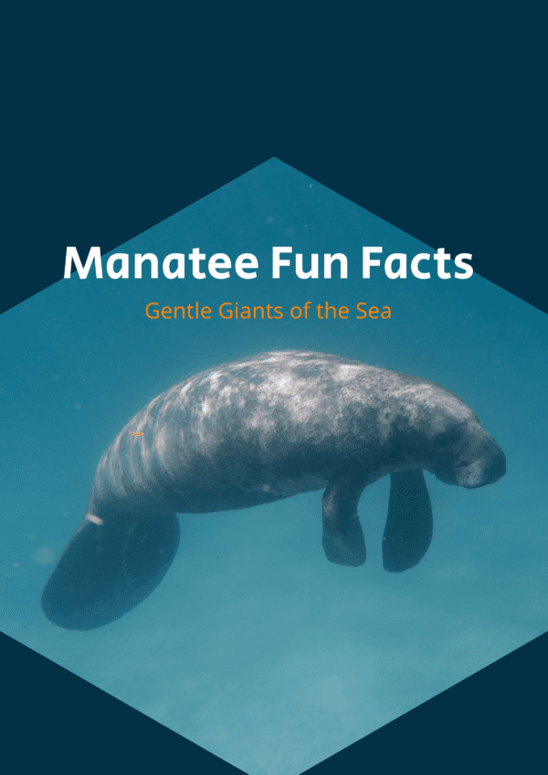 Manatee fun facts printable