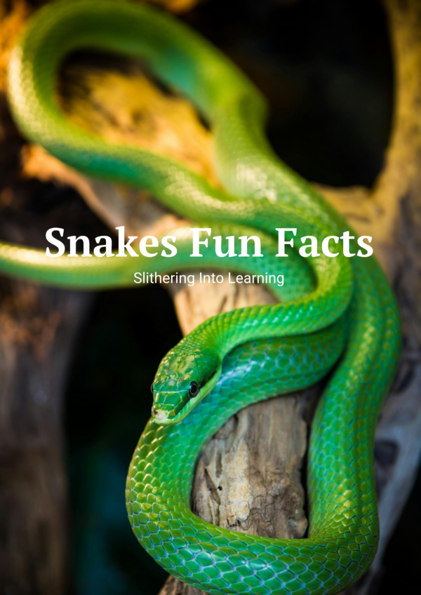 Snake fun facts printable