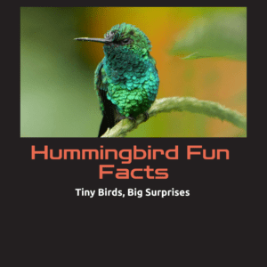 Hummingbird Fun Facts Printable