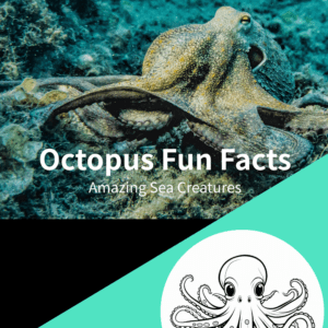 Octopus Fun Facts Printable