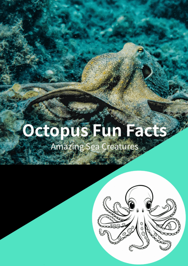 Octopus fun facts printable