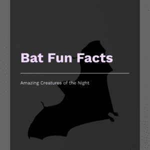 Bats Fun Facts Printable