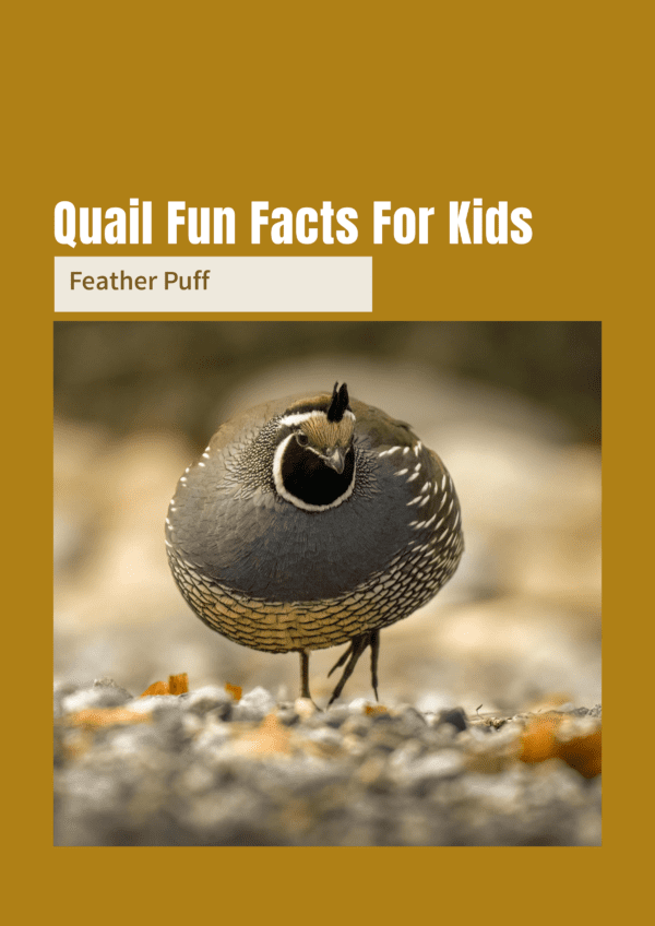 Quail fun facts printable