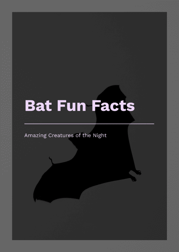 Bats fun facts printable