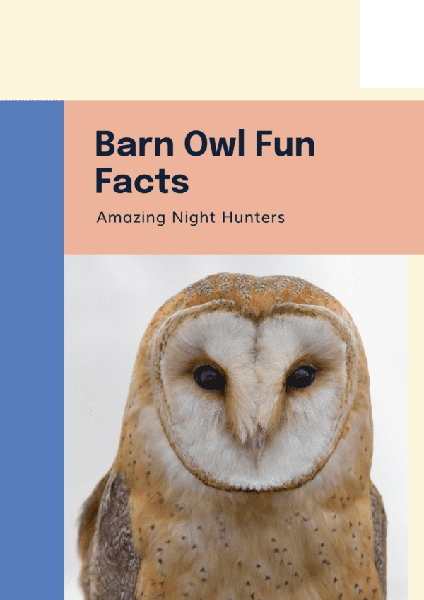 Barn owl fun facts printable