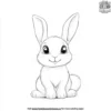 Fluffy Bunny Rabbit Coloring Pages