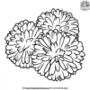 Cheerleader Pom Poms Coloring Pages