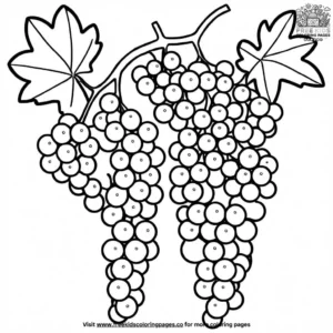 Harvest Grapes Coloring Pages