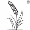 Harvest Wheat Coloring Pages