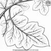 Nature Patterns Coloring Pages