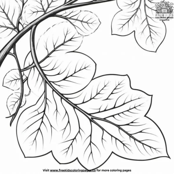 Nature patterns coloring pages