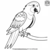 Parrot Perch Coloring Pages