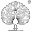 Peacock Feathers Coloring Pages