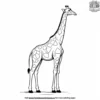 Tall Giraffe Coloring Pages