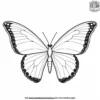 Zoo Butterfly Coloring Pages