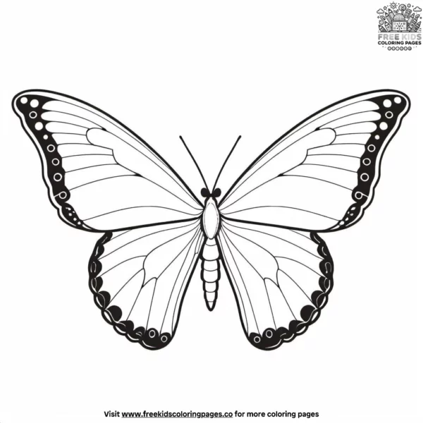 Zoo butterfly coloring pages