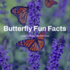 Butterfly Fun Facts Printable