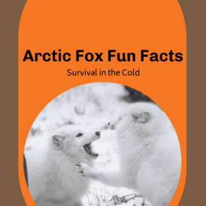 Arctic fox fun facts printable