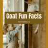 Goats Fun Facts Printable