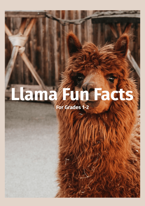 Llamas fun facts printable