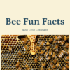 Bee Fun Facts Printable