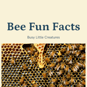 Bee fun facts printable