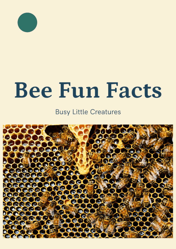 Bee fun facts printable