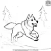 Adventurous Husky Coloring Pages