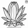 Agave Plant Coloring Pages