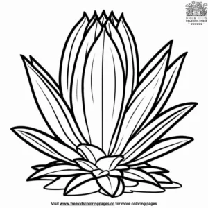 Agave Plant Coloring Pages