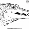 Alligator Head Coloring Pages