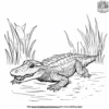 Alligator In A Pond Coloring Pages