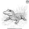 Alligator In Grass Coloring Pages