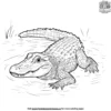 Alligator In Water Coloring Pages