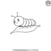 Baby Caterpillar Coloring Pages