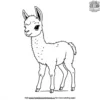 Baby Llama Coloring Pages