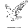 Bald Eagle Coloring Pages