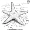 Bright Starfish Coloring Pages