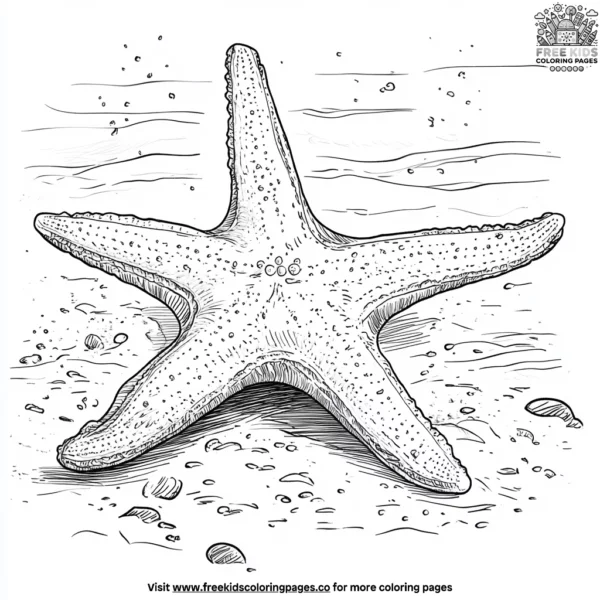 Bright starfish coloring pages