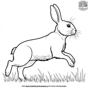 Bunny Hopping Coloring Pages