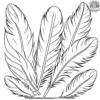 Carnival Feather Coloring Pages