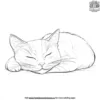 Cat Napping Coloring Pages