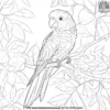 Cheerful Parrot Coloring Pages