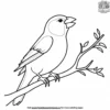 Chirpy Canary Coloring Pages