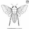 Cicada Coloring Pages