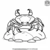 Crab on Rock Coloring Pages