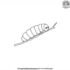 Crawling Caterpillar Coloring Pages