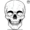 Creepy Skull Coloring Pages