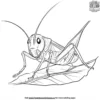 Cricket Coloring Pages