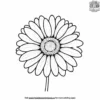 Daisy Blossom Coloring Pages